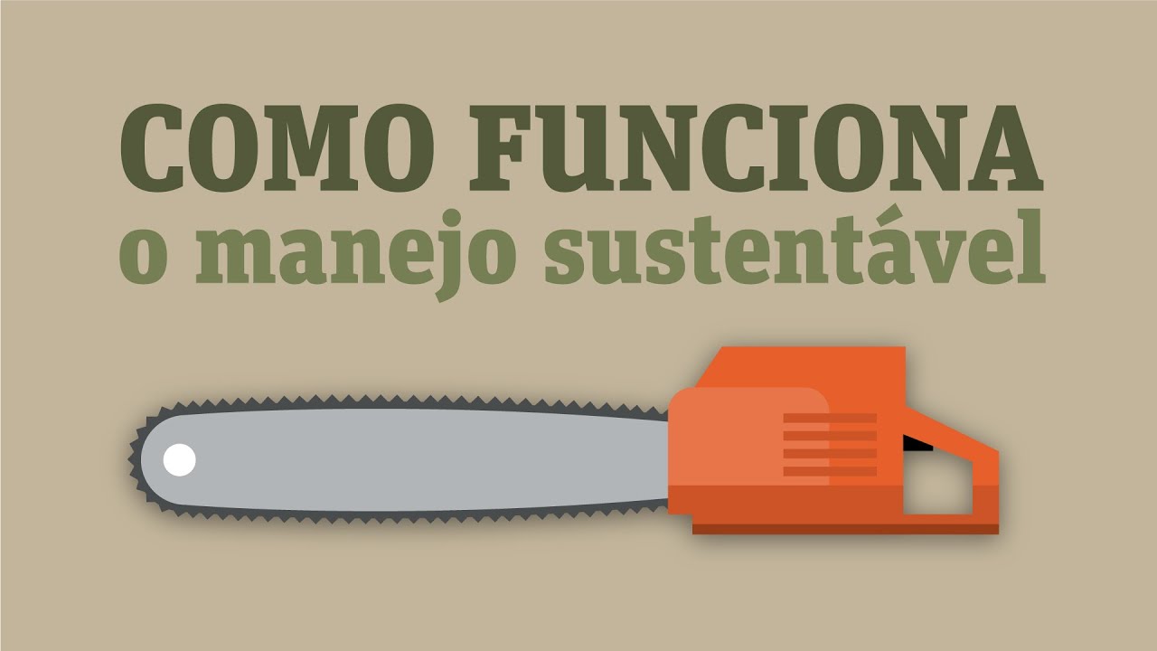 Como funciona o manejo sustentável