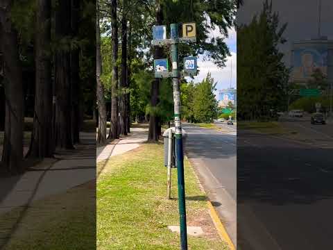 El gobierno de la ciudad debería cambiar estos postes dañados en la General Paz #shorts #buenosaires