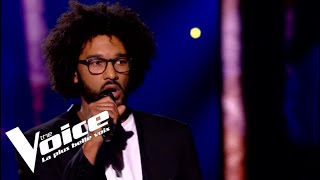 Alain Bashung - La nuit je mens | Max Livio | The Voice 2019 | KO Audition