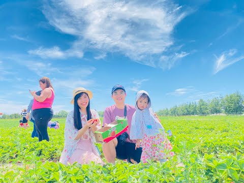 Ferme Marineau, Laval, Canada 🇨🇦