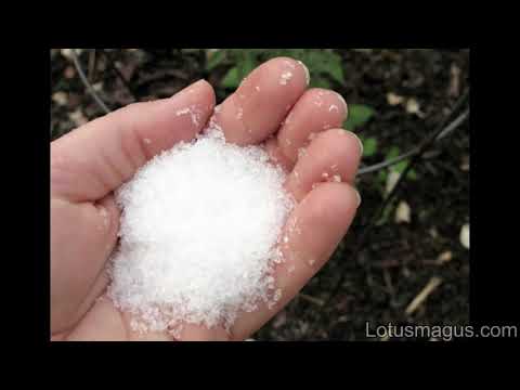 Epsom Salt for Pest Control - Is this Effective?