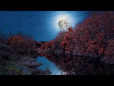 Relaxing Japanese Music - Moonlit Sky