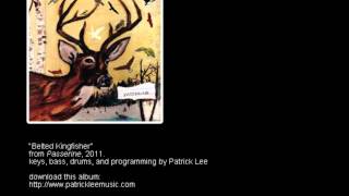 Patrick Lee - Belted Kingfisher