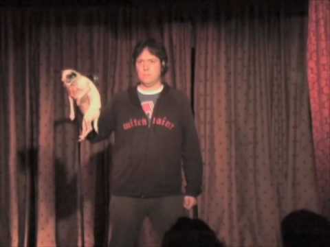 Dave Hill Chihuahua Dance