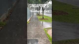 Singapore April Weather #singapore #weather #rain #singaporevlog #travel #rainyday #rainfall