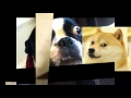 Playing All My Sound Effects At The Same Time