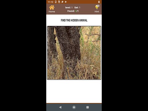 Hidden objects and Animals video thumbnail