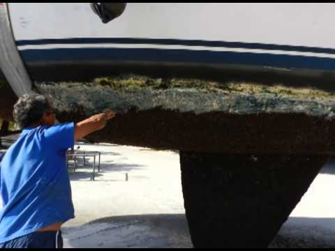 Programa Neusa Bighetti exibido no dia 16/11/2014 - Luiz Lunardi O Náufrago