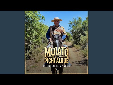 Mulato de Pichi Alhué – Corrido Homenaje