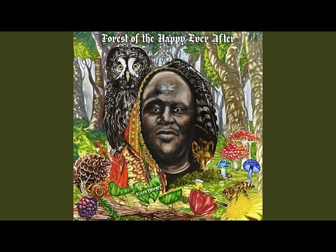 Video thumbnail for Return To Voyager