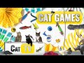 CAT Games | Ultimate Cat TV Compilation Vol 42 | 2 HOURS 🐝🐞🦋🦎🦜🐜🐭🧵