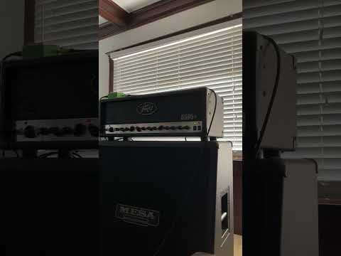 Peavey 6505+ w/ Mesa 412 OS slant / LTD EC-1000