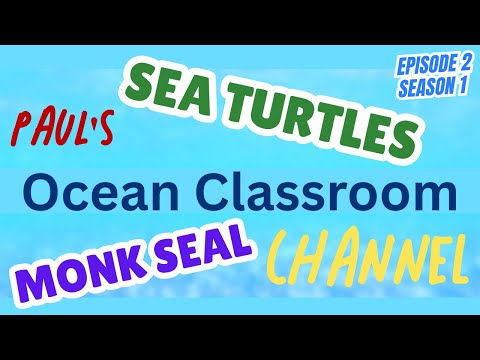 MONK SEAL & SEA TURTLES! Paul's Ocean Classroom for Kids - Episode 2 Season 1 - 18 mins