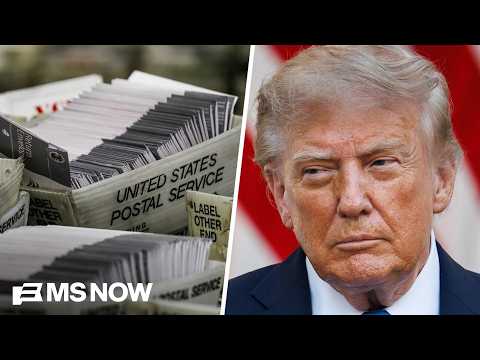 'He doesn't really care about you': Dem strategist slams Trump's push to restrict mail-in voting