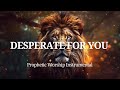 Prophetic Worship Instrumental I AM DESPERATE FOR YOU Soaking Worship Music