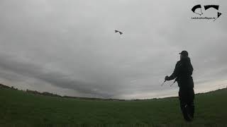 Spiderkites Shiva