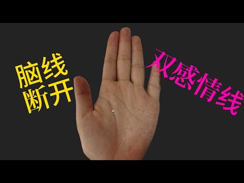 天陽玄機