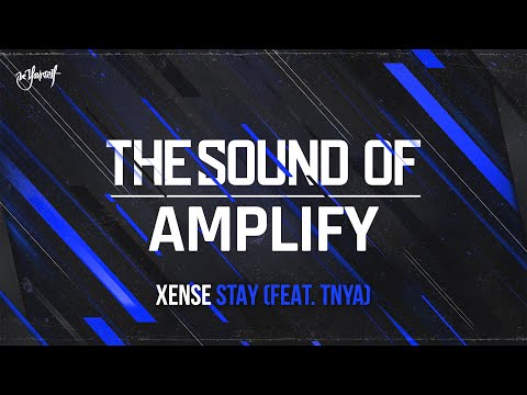 Xense - Stay (feat. TNYA) | The Sound of Amplify