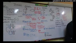 3) Dr. wael salah Eyelid Entropion Ectropion