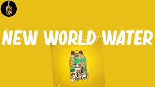New World Water (Lyrics) - Mos Def