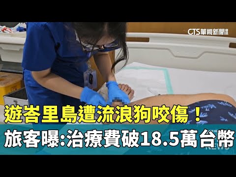 遊峇里島遭流浪狗咬傷！　旅客曝：治療費破18.5萬台幣
