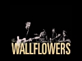 the wallflowers - some flowers bloom dead (traducida español).wmv