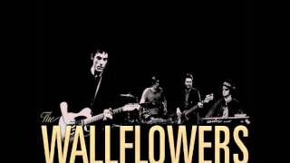 the wallflowers - some flowers bloom dead (traducida español).wmv