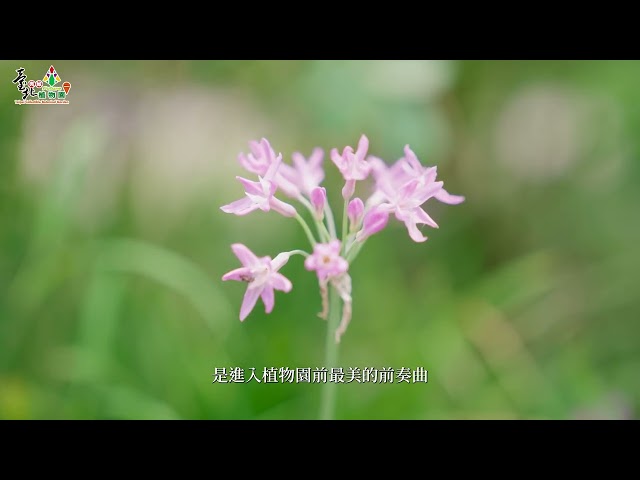 臺北典藏植物園宣傳影片1(115年版)