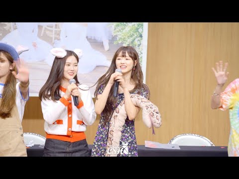190623 '다섯 번째 계절 활동을 마치며  ' 오마이걸 OHMYGIRL TCC센터 직캠 Fancam
