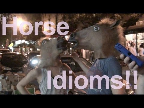 Horse Idioms!