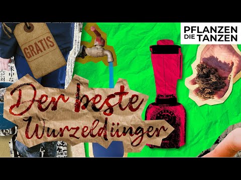 Der beste Wurzeldünger GRATIS | JADAM Microbial Solution JMS