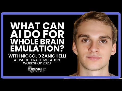 Niccolò Zanichelli | What can AI do for Whole Brain Emulation @ Whole Brain Emulation Workshop 2023