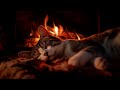 Purring Cat And Burning Fireplace ASMR Video For Your Sound Sleep