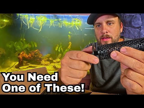 10 Must Have Aquarium Upgrades Under $20