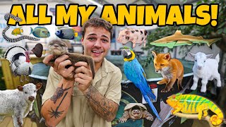 Download lagu ALL of My EXOTIC ANIMALS in ONE video!! mp3