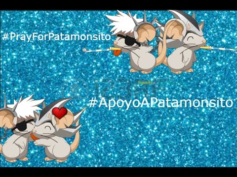 #PrayForPatamonsito #ApoyoAPatamonsito.
