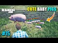 Cute Baby Pigs, Selling Wood Plank - Ranch Simulator Part 15
