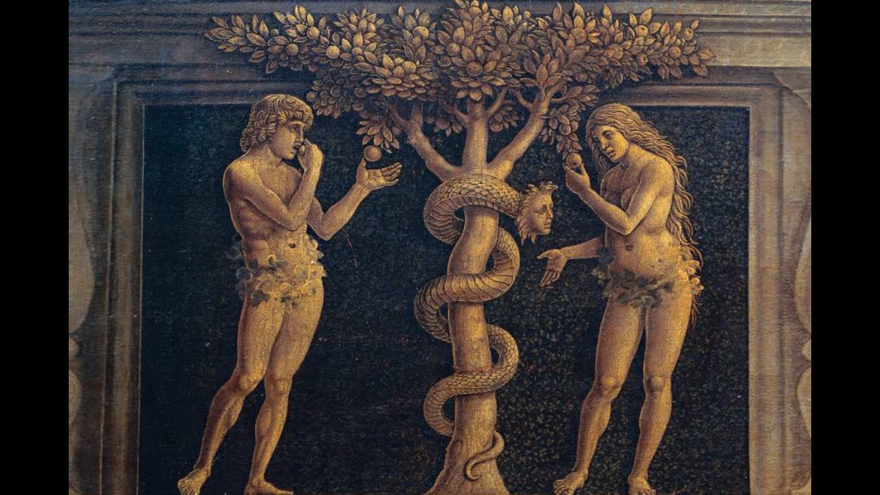 Sembollerin Dili  - Yılan