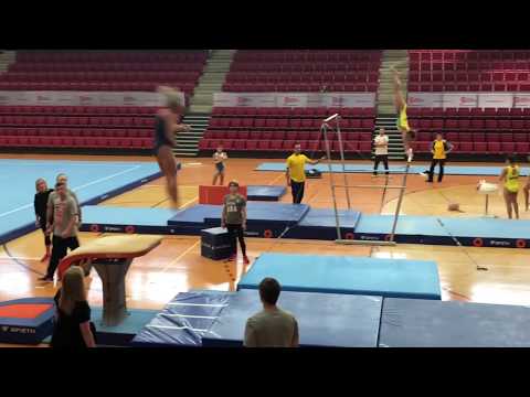 Gymnastics Worlds 2019: Mykayla Skinner (USA)