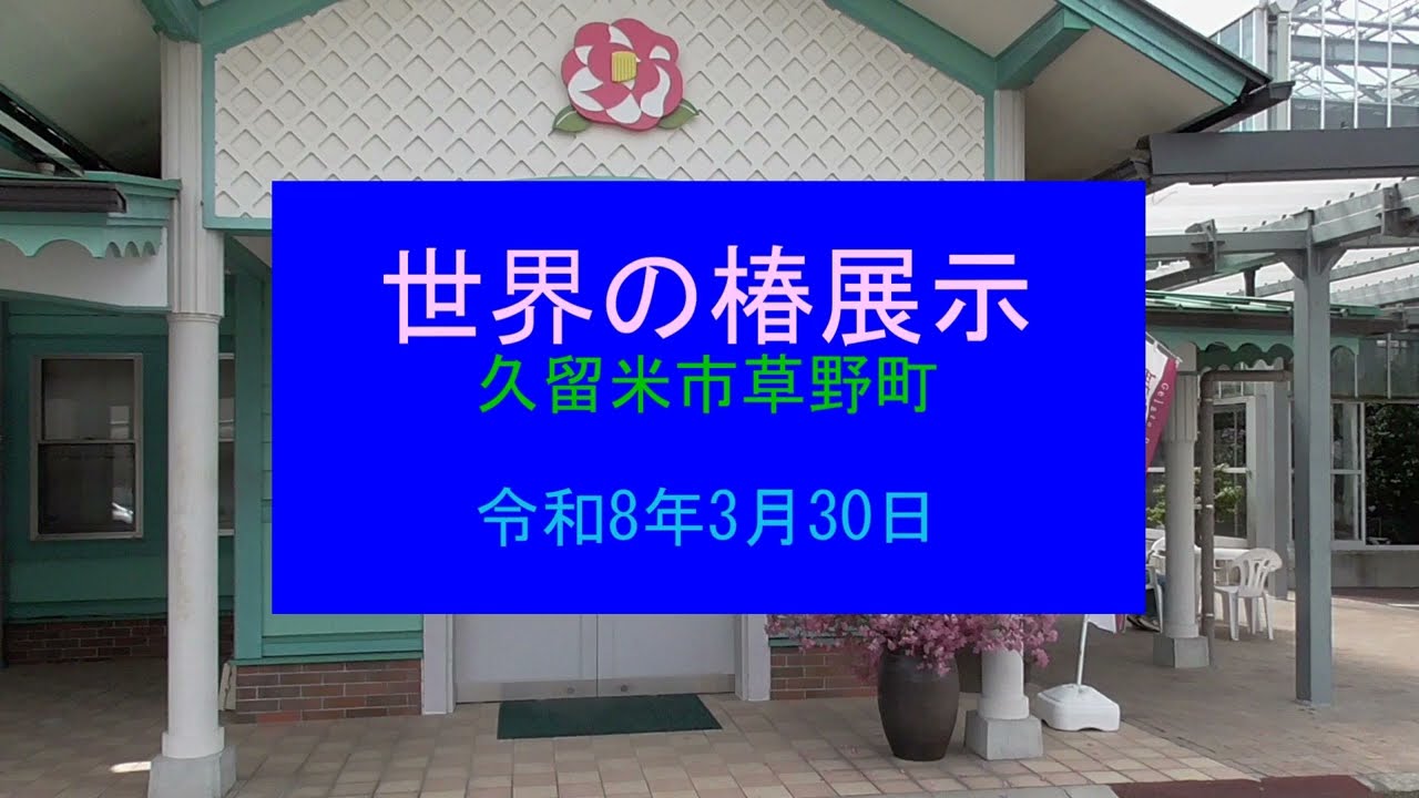 世界の椿展示 世界椿館 令和8年3月30日