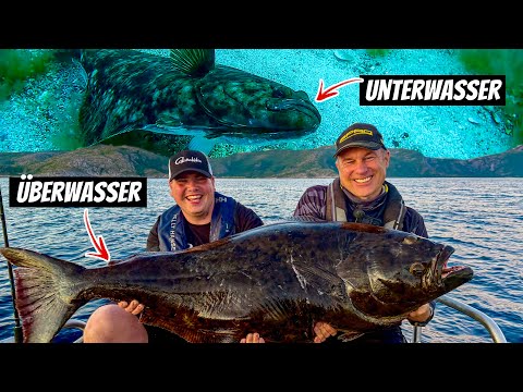 Was unter Wasser passiert, glaubt uns keiner! – Heilbutt & Dorsch live gefilmt | Norwegen Angeln