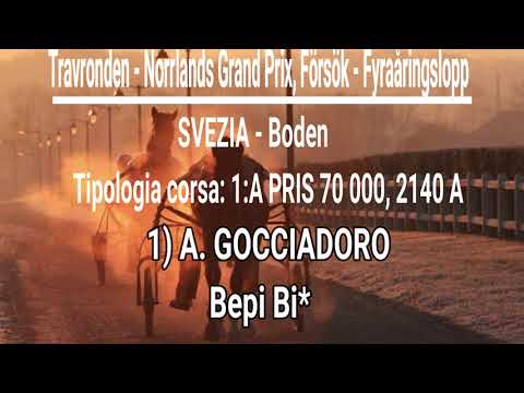 1° A.GOCCIADORO Bepi Bi - SVEZIA Boden Tipologia corsa 1A PRIS 70 000, 2140 A - Grand Prix,