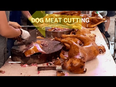 Dog Meat Cutting and Selling | Dog meat market in China