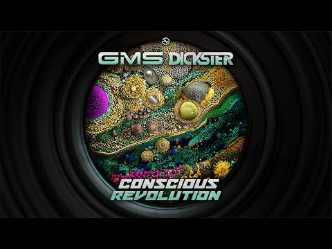 GMS & Dickster - Conscious Revolution