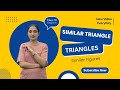 Similarity Of Triangles Similar Figures AAA Angle Angle Similarity Similar Triangles Theorem
