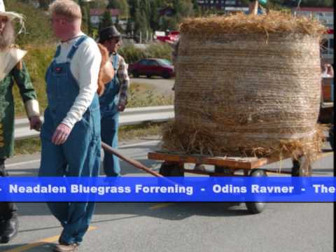 GammelElva Bluegrass festival 20009_0001.wmv