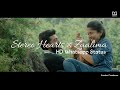 Stereo Hearts Zaalima Hindi English Mashup Malayalam Status Premam