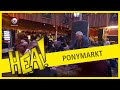 HEA! Bijzondere veiling op de ponymarkt in Augustinusga