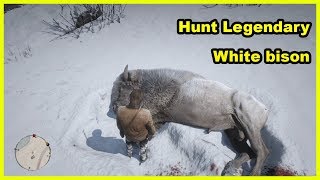 Red Dead Redemption 2 | How To Hunt Legendary White Bison