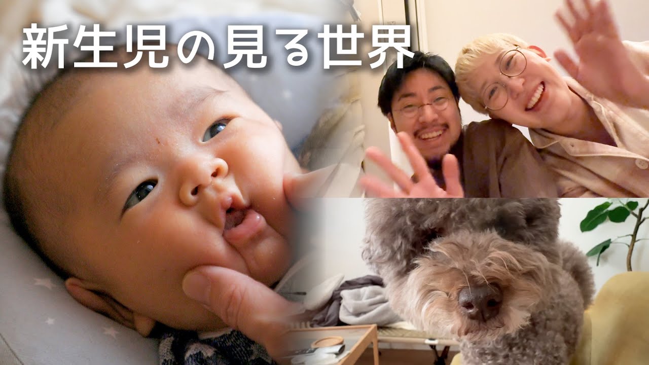 そーちゃんの1日｜まだ何もわからない僕の24時間